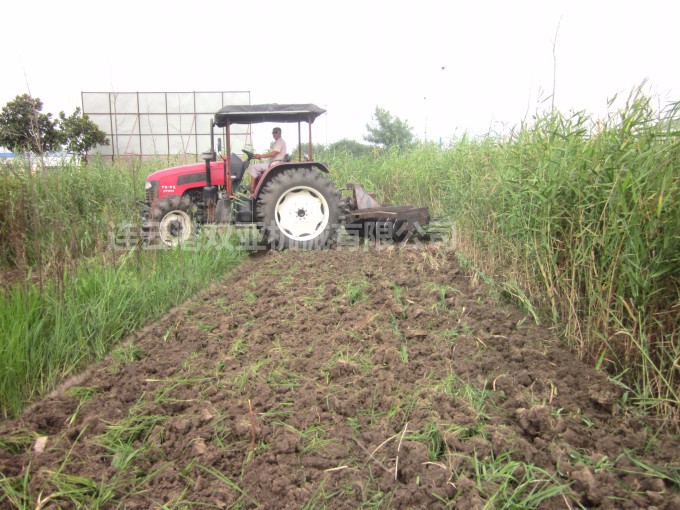 1LYQ华体会在线(中国)